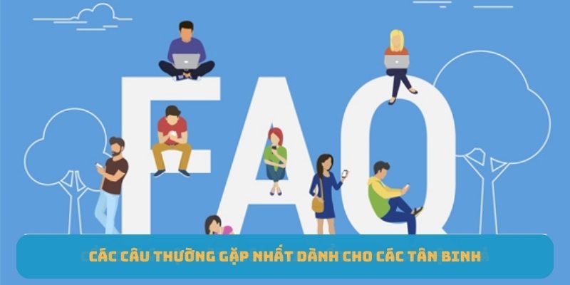 Các câu thường gặp nhất dành cho các tân binh