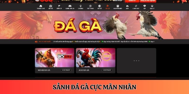 Danh mục chọi gà U888 đỉnh nóc kịch trần